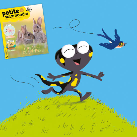 LA PETITE SALAMANDRE